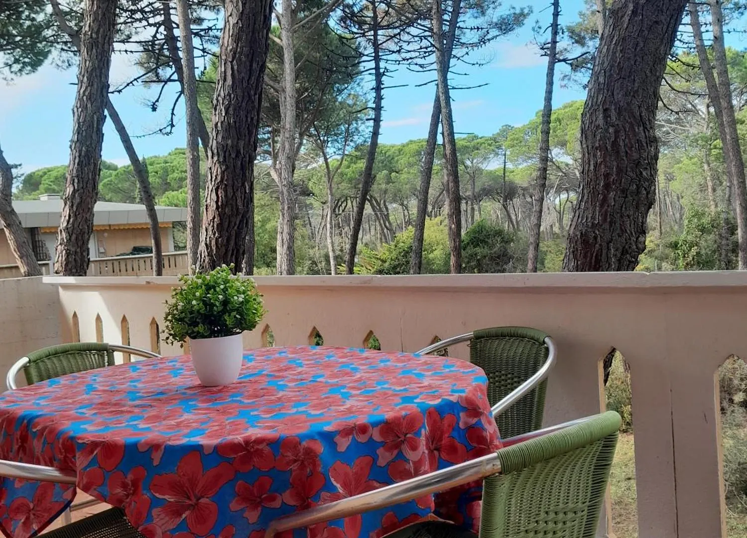 Appartamenti Maremaremma Principina a Mare 0*,