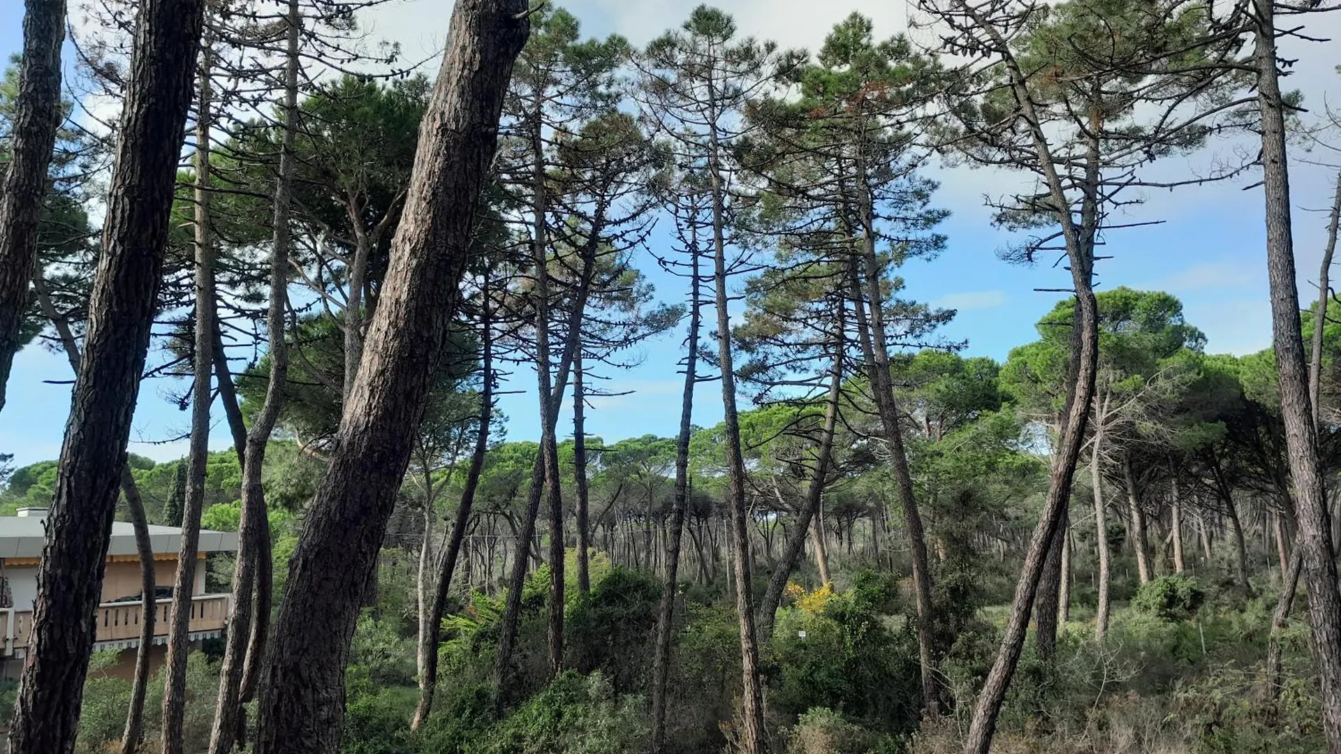 Appartamenti Maremaremma Principina a Mare Italy