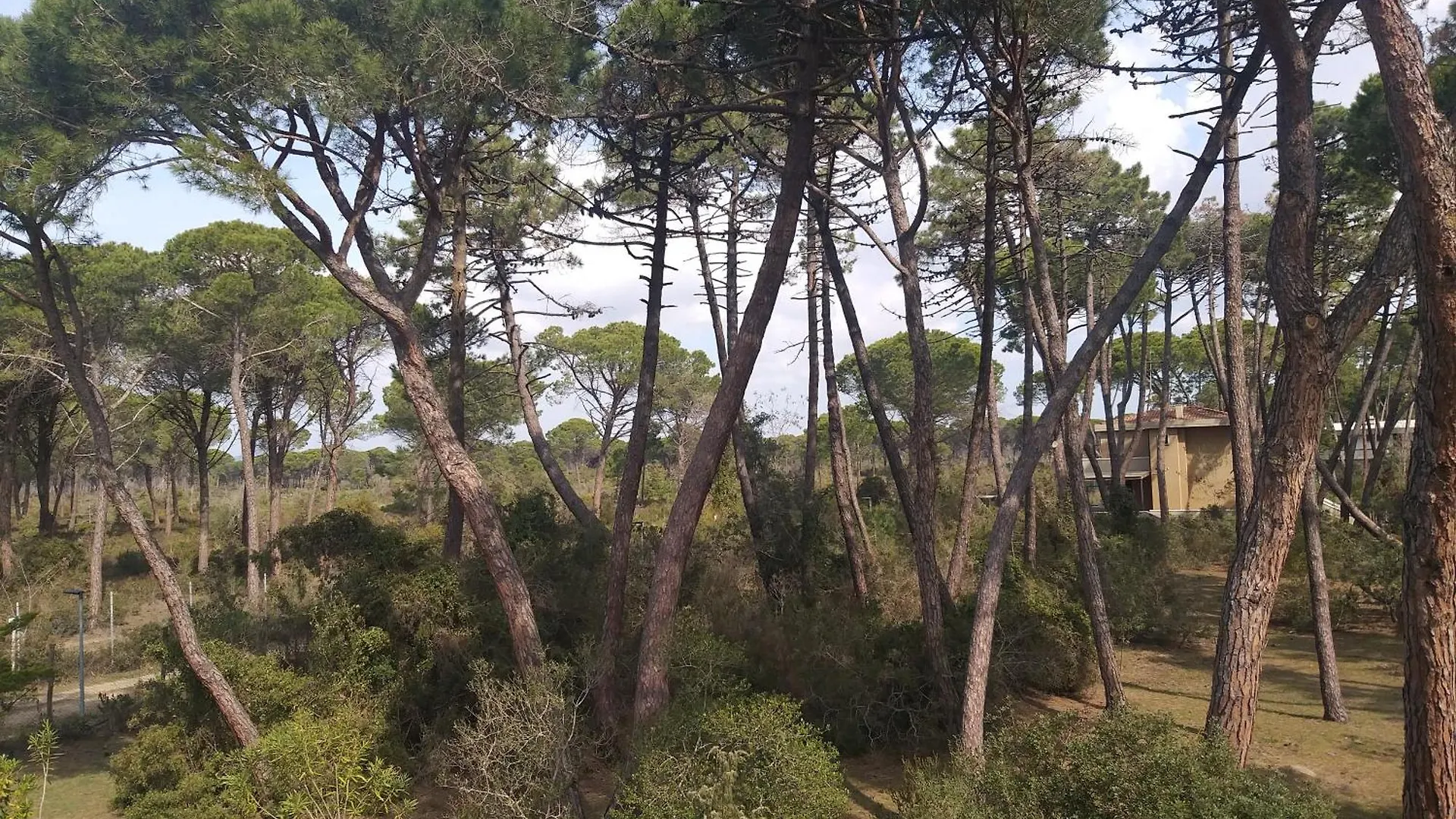 Appartamenti Maremaremma Principina a Mare