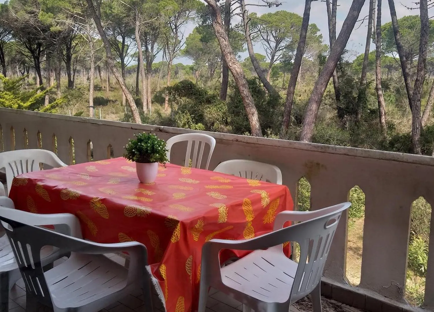 Appartamenti Maremaremma Principina a Mare Apartment
