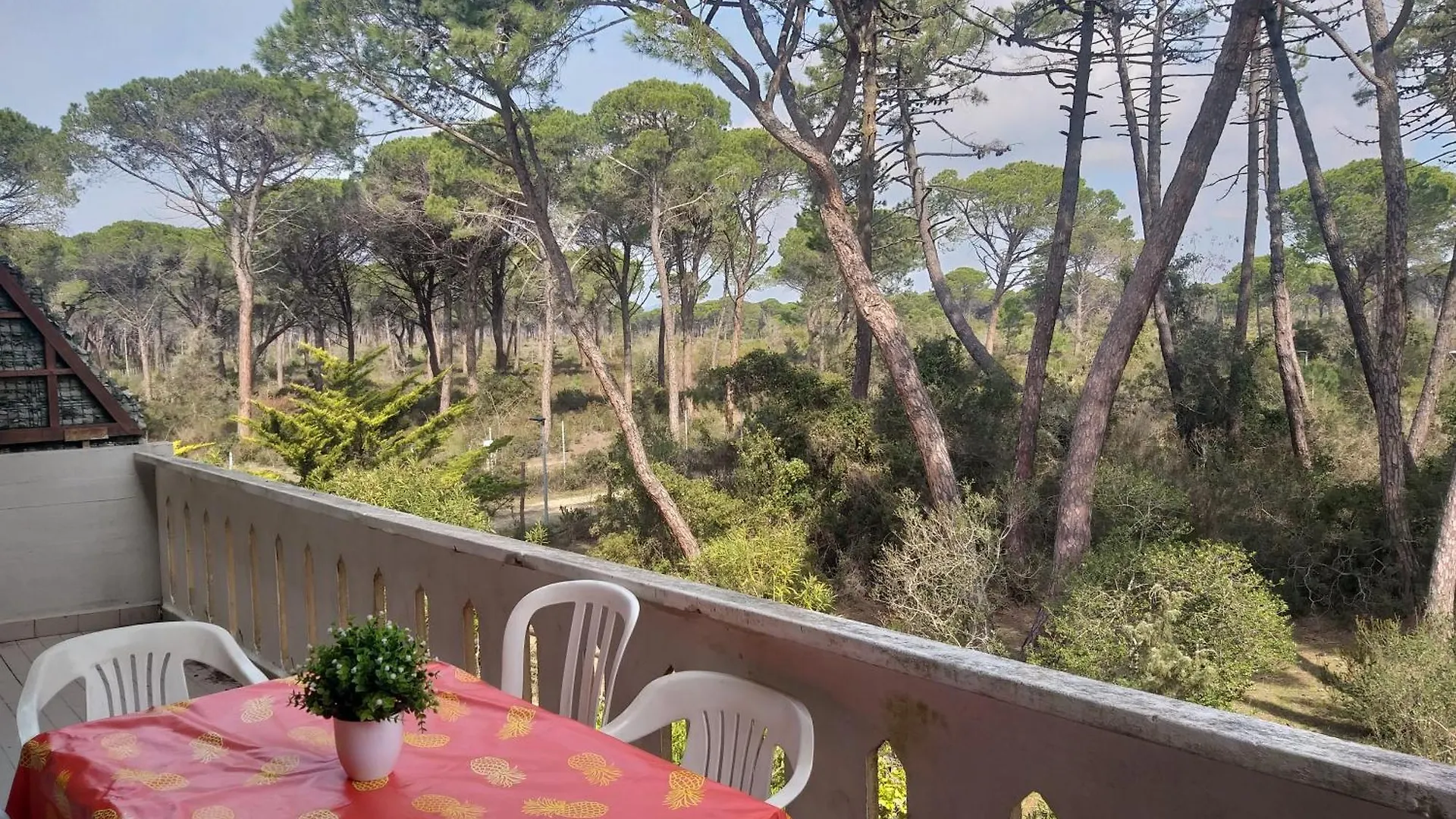 Appartamenti Maremaremma Principina a Mare Italy