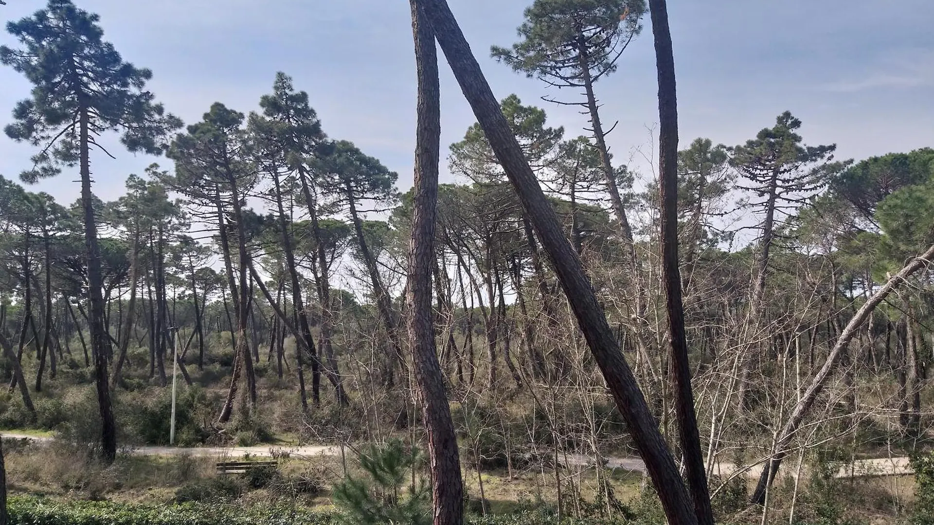 Appartamenti Maremaremma Principina a Mare Apartmán